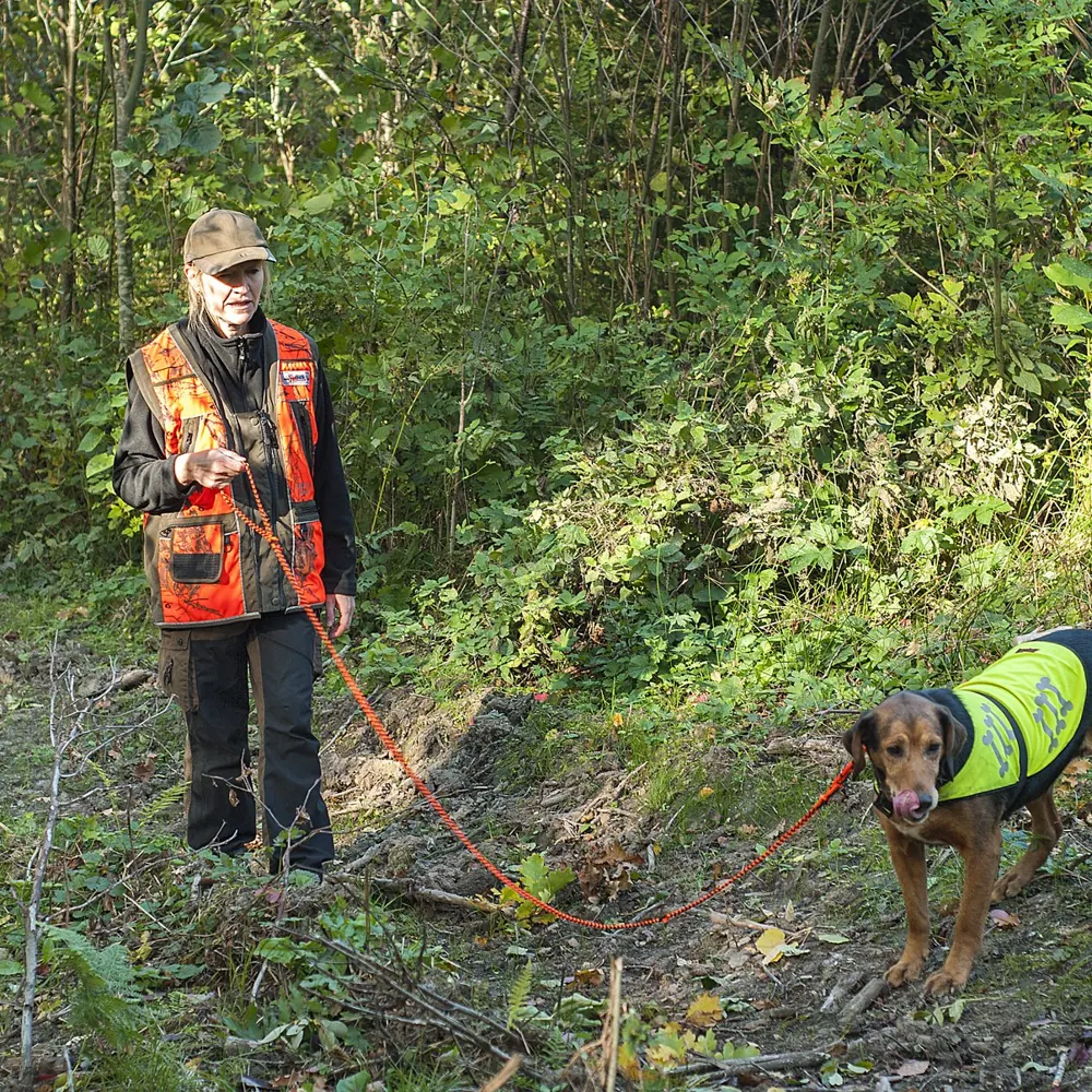 In the forest with the No 16