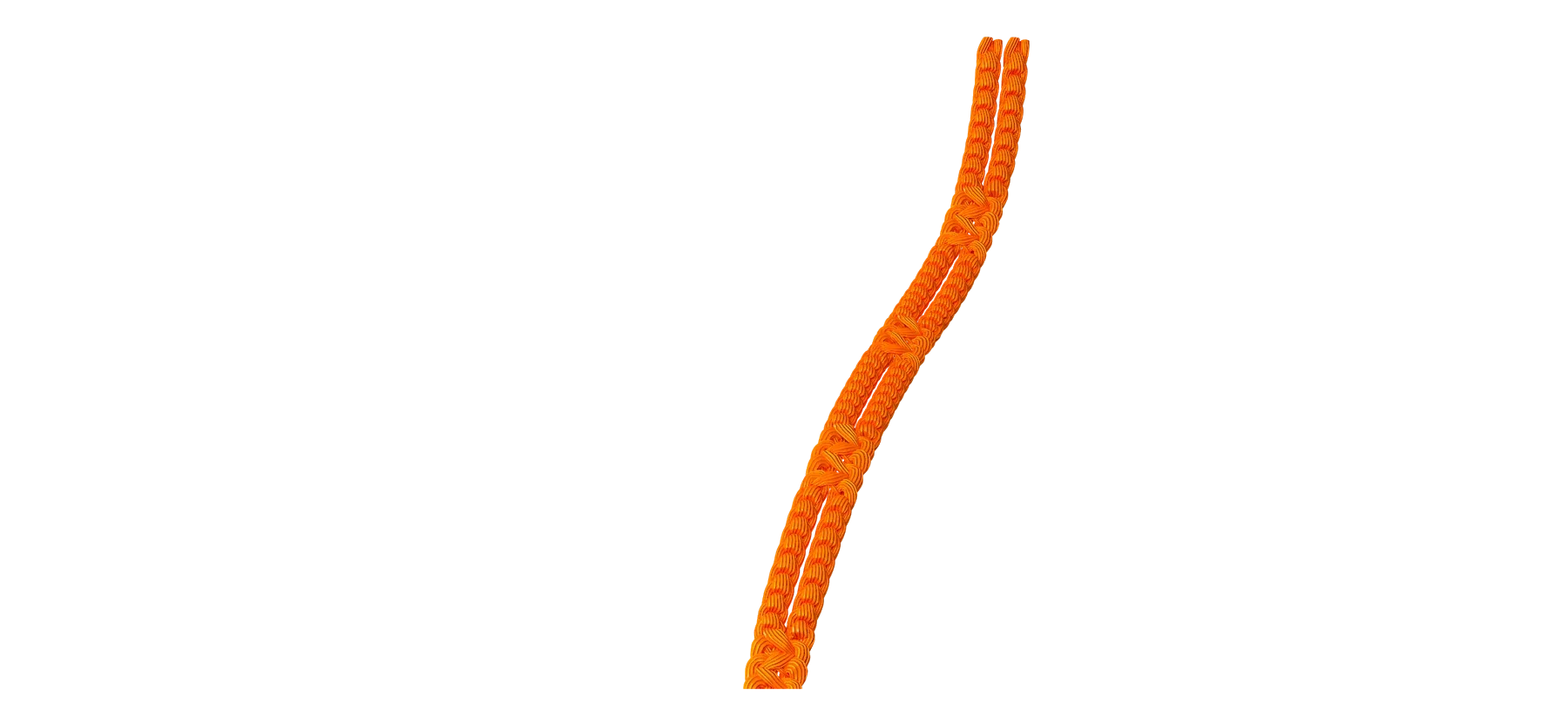 No 12