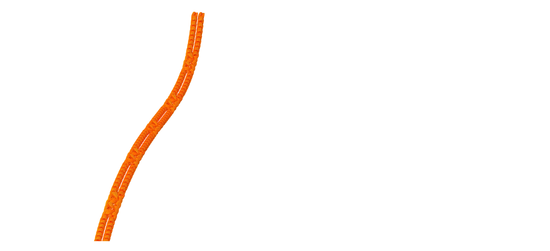 No 6