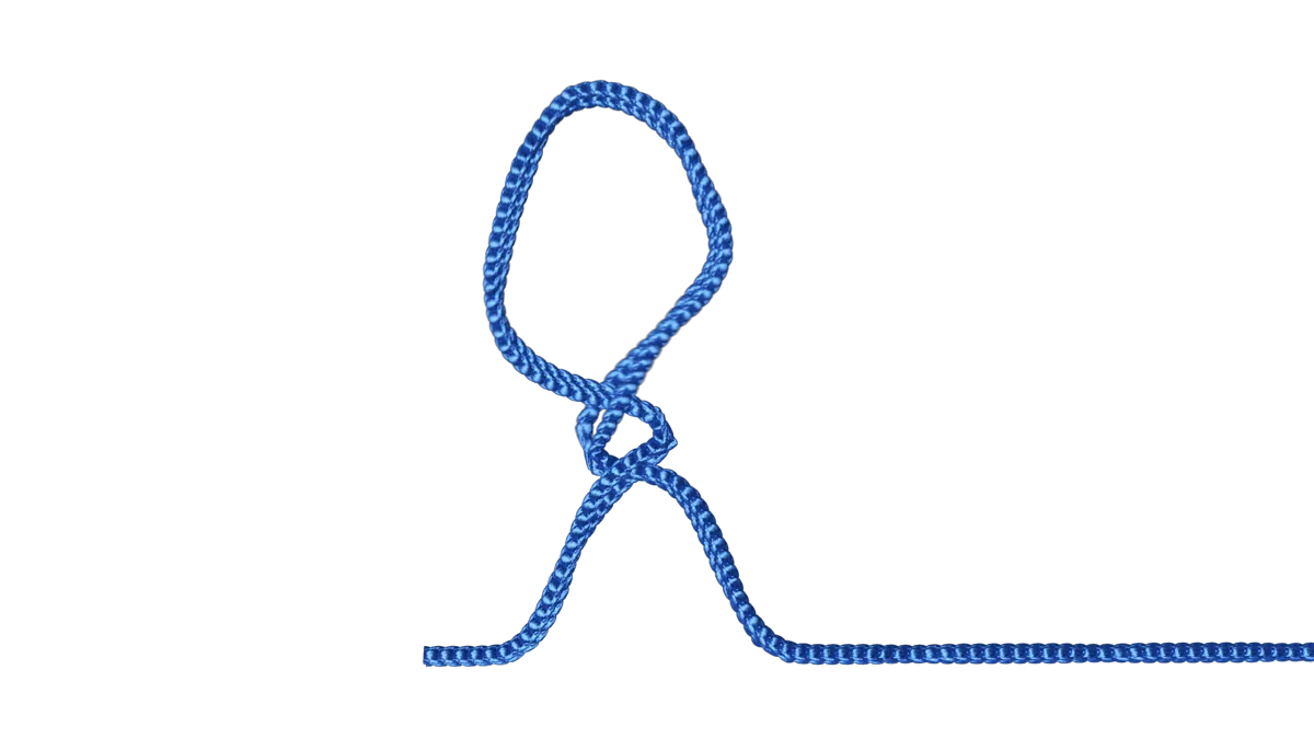 Fixed loop, step 4
