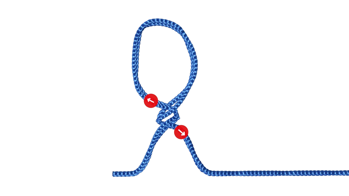 Fixed loop, step 5